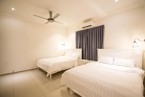 The Duyong Dream The Duyong Dream