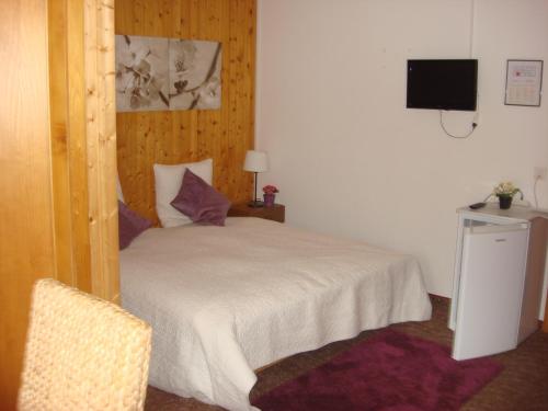 Hotel Hasli Room Type - Double Room