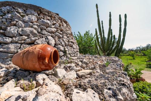  - Trullo degli Ulivi - Oasi Naturale nel Salento in Neviano