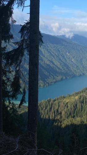 Wohnung in Kärnten Nähe Millstättersee