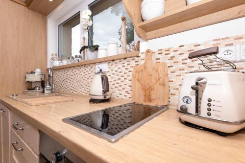 Apartmány Třeboň Vila EVIO - image 7