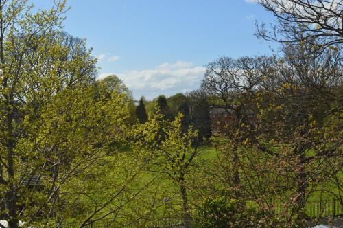 The Westlynne Hotel & Apartments - image 5