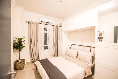 The Duyong Dream The Duyong Dream