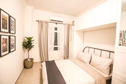 The Duyong Dream The Duyong Dream