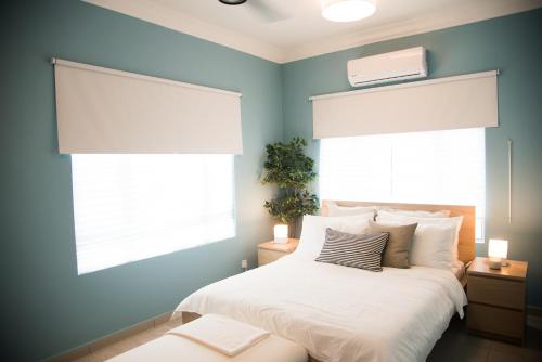 The Duyong Dream The Duyong Dream