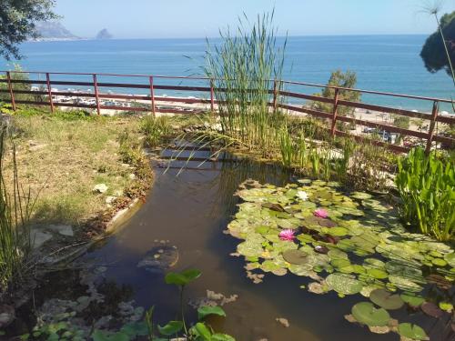 The pergola by the sea