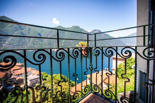 Il Giardino di Nesso