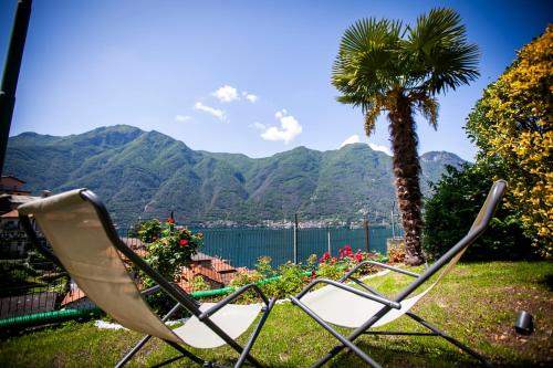 Il Giardino di Nesso