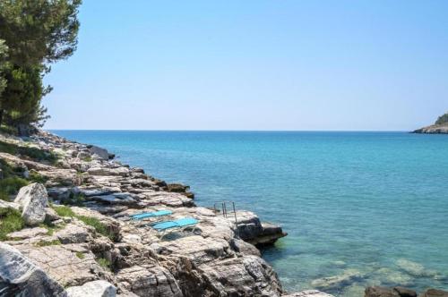 Petra Mare Apartments - image 3