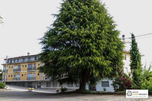 Viesnīcas āriene, Casa Liviya - Appartamento con vista lago in Madonna Del Sasso