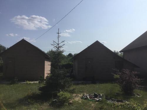 Forest Life - image 9