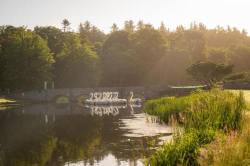 Westport Estate Glamping Village