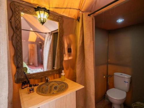 Desert Paradise Luxury Camp