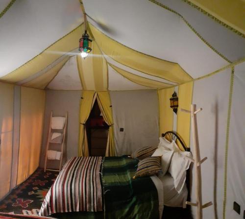 Desert Paradise Luxury Camp