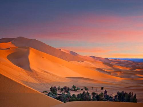 Desert Paradise Luxury Camp