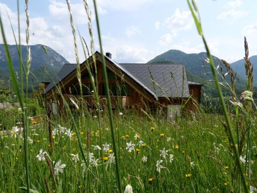 Ecologie Grundlsee