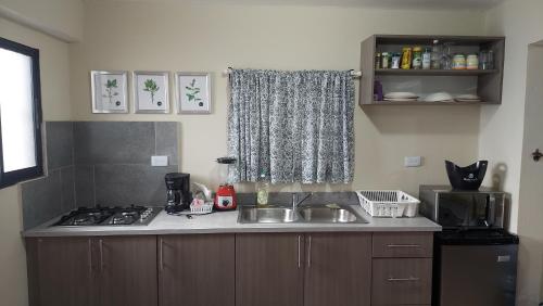 One-Bedroom Apartment image 10