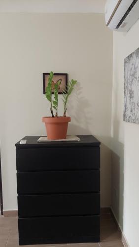 One-Bedroom Apartment image 2