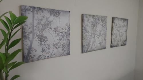 One-Bedroom Apartment image 3