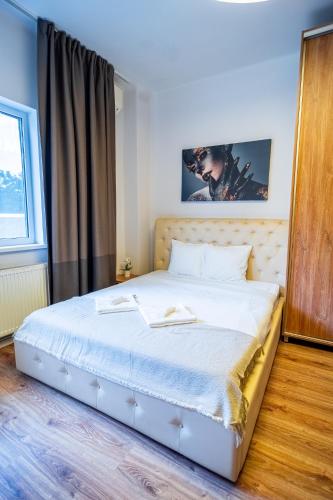 Cozy Apartments near Calea Victoriei Room Type - One-Bedroom Apartment