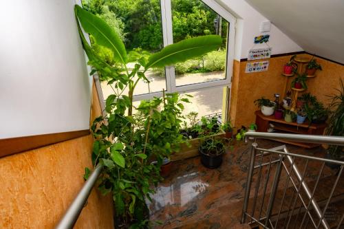 Ieeja, Isaan Ostrzyce Guest House in Ostrzyce