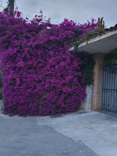 La Latomia Villa nei pressi del Teatro Greco