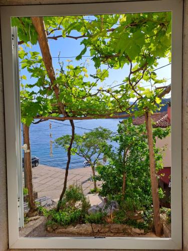 Apartments & Rooms Dinko in Valun