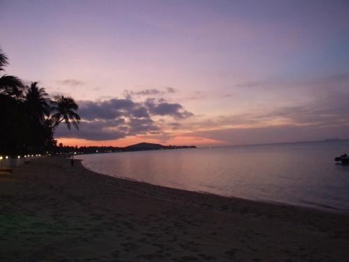 Moonhut Bungalows - image 5