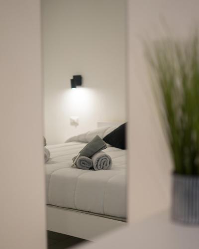 Doan rooms 1