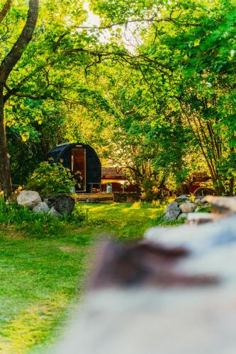 Uue-Ringi Holiday Uue-Ringi Holiday