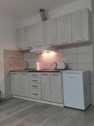 Studio apartmani Banja Koviljaca