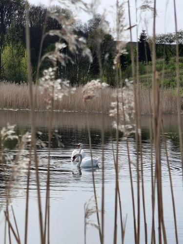 Calm and idyllic surroundings in Northen Jutland