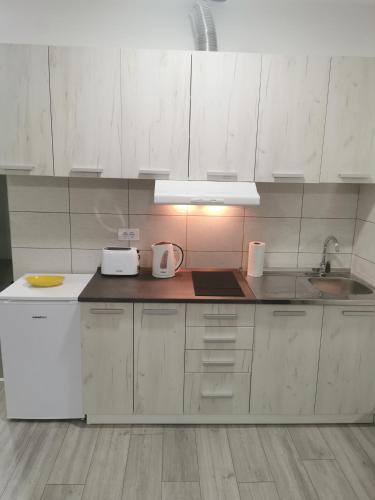 Studio apartmani Banja Koviljaca