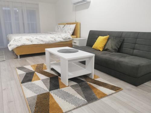 Studio apartmani Banja Koviljaca