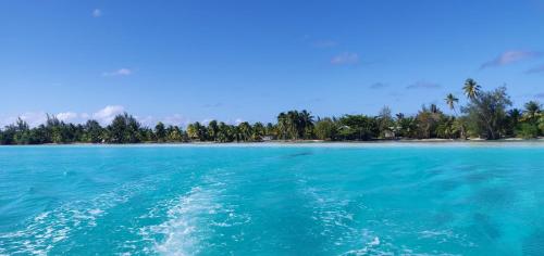 Alrededores, ALAROOTS HUAHINE in Isla Huahine