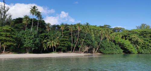 Cerca de lugares turísticos, ALAROOTS HUAHINE in Isla Huahine