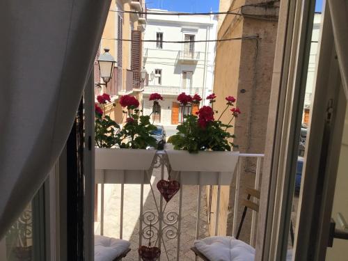  Palazzo Massari Bari in Bari
