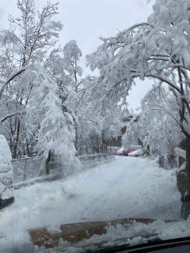 منظر, Apartments Bergen free parking in Flesland