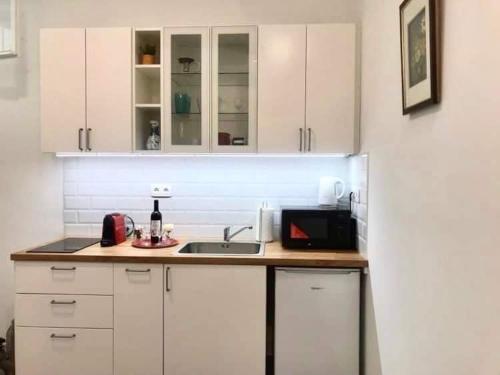 Nick's apartment-spacious, central and quiet, by Margit bridge, Budapešť (fotografie 5)