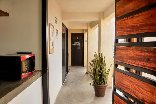 Casa Nomada Tuxtla Hotel - Hostal in Tuxtla Gutiérrez