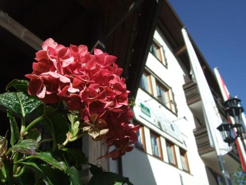 Hotel Alpensonne - image 9