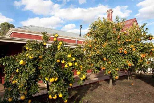 St Arnaud Historic Dundrennan with 5 bedrooms