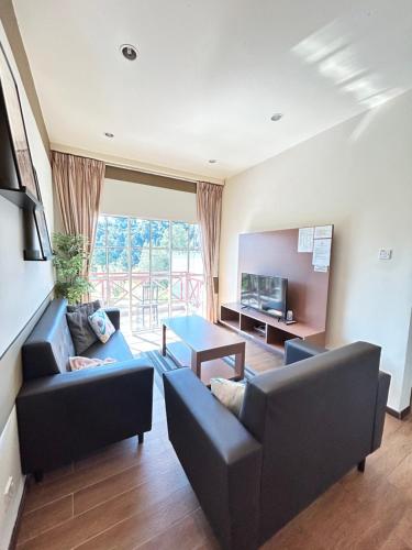 Cameron Iris AiSHomestay Cameron Iris AiSHomestay