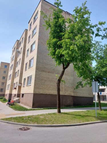 Visinskio apartamentai