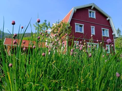 Haus Grünfels ApARTment - Apartment - Murau