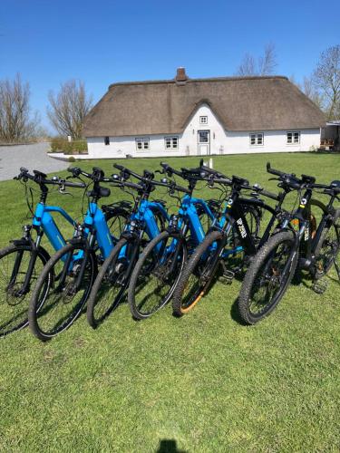 Reetdachhaus, Sauna, E-Bikes, 6 Personen, Osterhever (Foto 3)