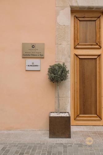 Castelar Palace - image 4