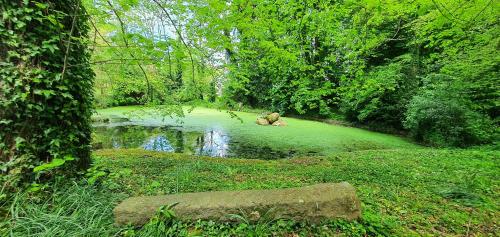 Manoir de Saint Ouen 5