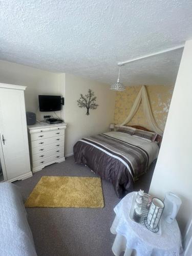 1 queen bed, 1 sofa bed