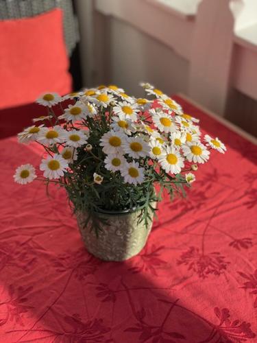 Hotel Waldperle - image 5